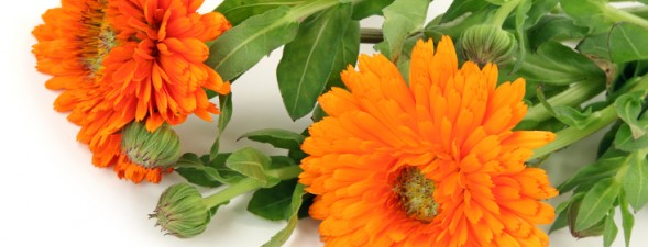 KAWON_WEB_fotoglowne_11