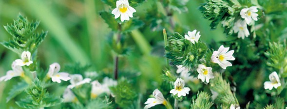 KAWON_WEB_fotoglowne_05