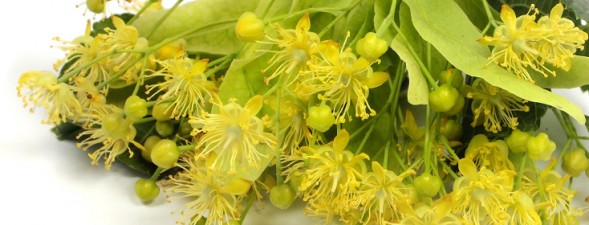 KAWON_WEB_fotoglowne_08