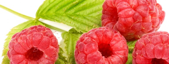 KAWON_WEB_fotoglowne_22