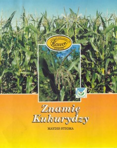 znamie_kukurydzy