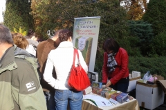 Święto Dyni - Wrocław 2012