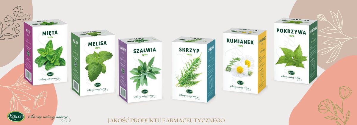 NOWOŚĆ W OFERCIE (1)